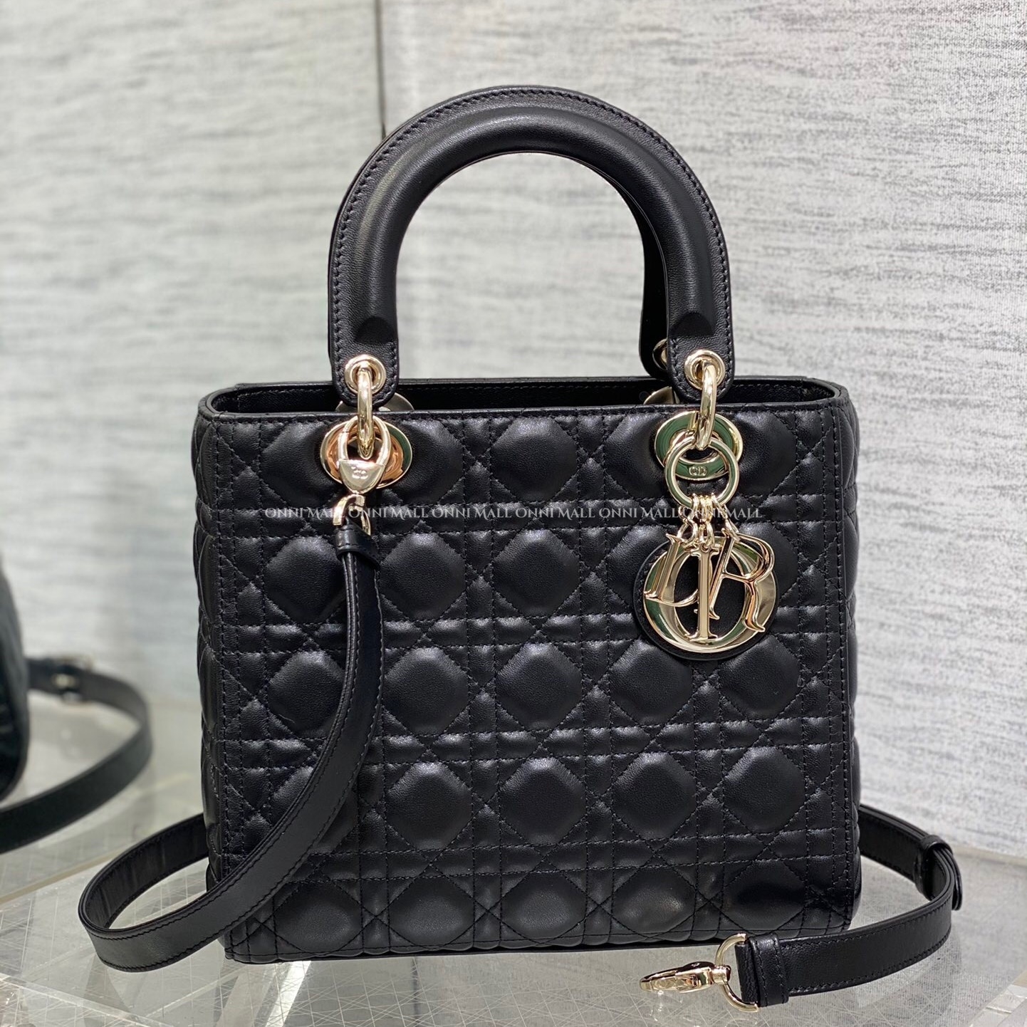 디올레이디백 (24cm)