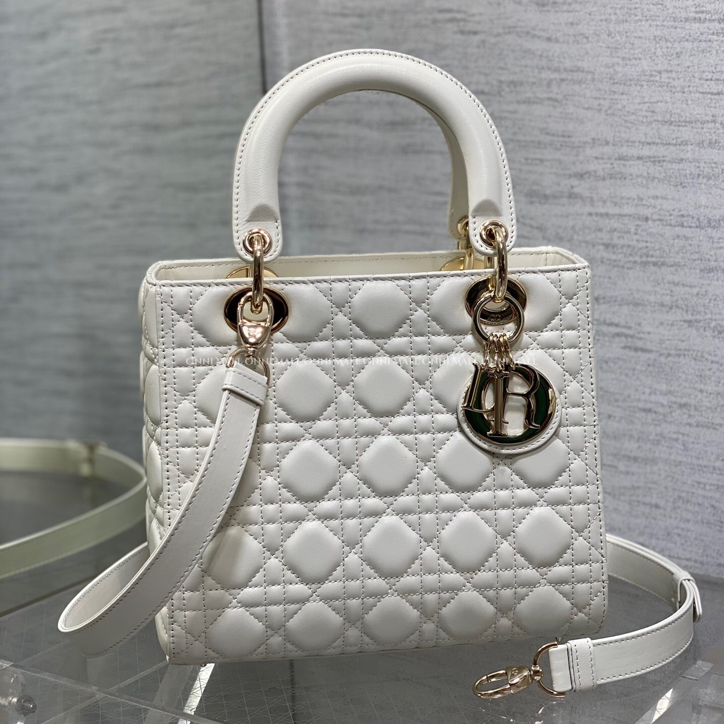 디올레이디백 (24cm)