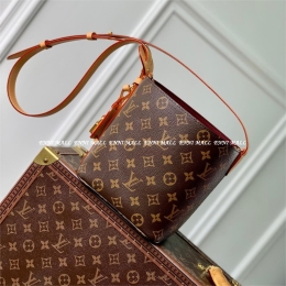 루이비통 올 인 BB