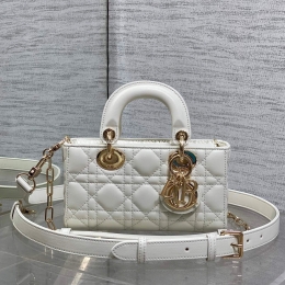 디올디조이백 (19cm)