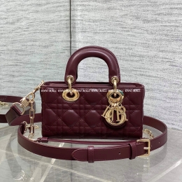 디올디조이백 (19cm)