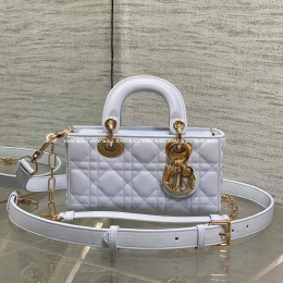 디올디조이백 (19cm)