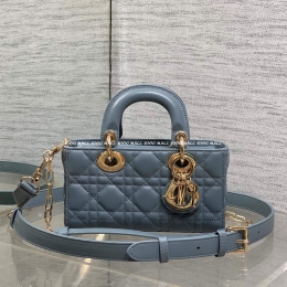 디올디조이백 (19cm)