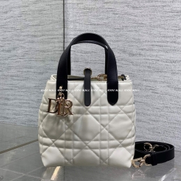 디올뚜주흐버티컬토트백 (16cm)