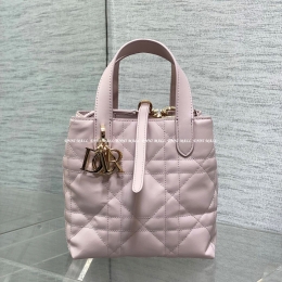 디올뚜주흐버티컬토트백 (16cm)