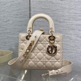 디올 레이디백 (20cm)